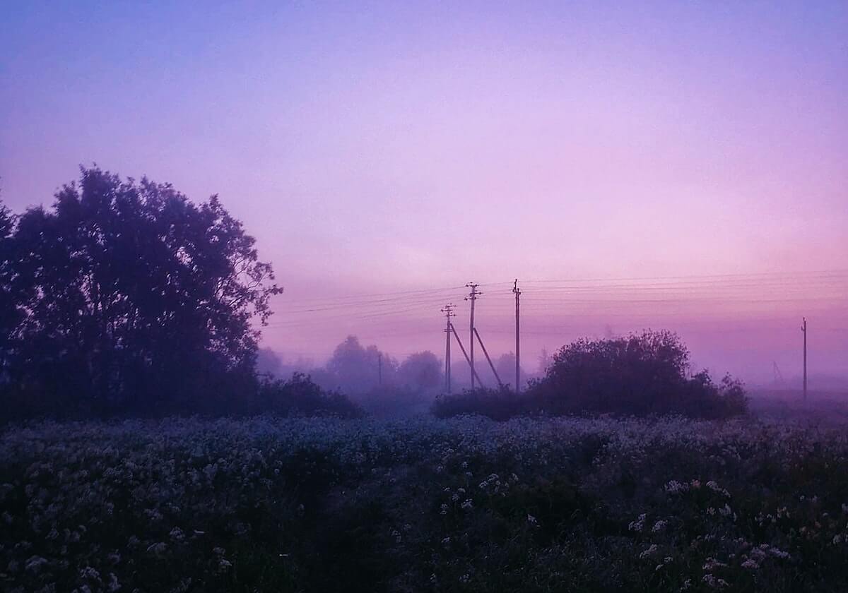 杏吧直播深度分析