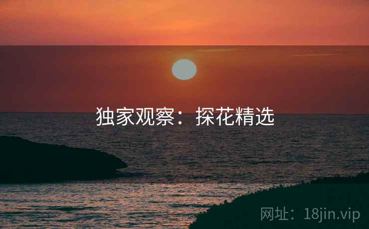 独家观察：探花精选