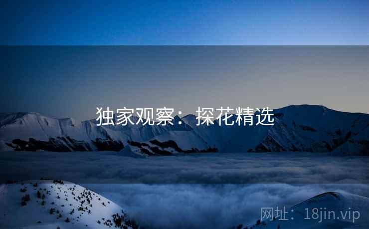 独家观察：探花精选