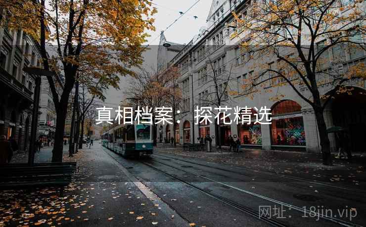 真相档案：探花精选