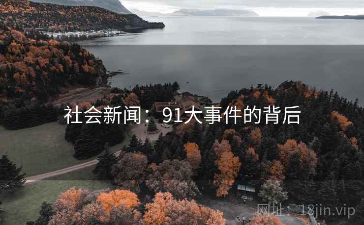 社会新闻：91大事件的背后
