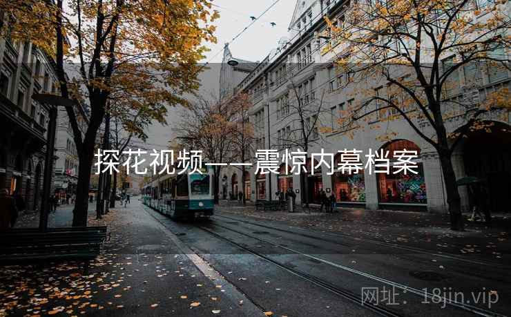 探花视频——震惊内幕档案