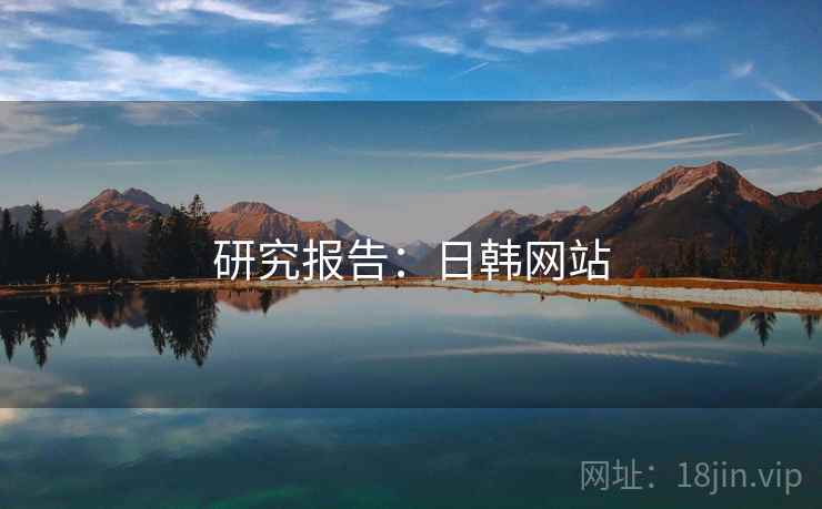 研究报告：日韩网站