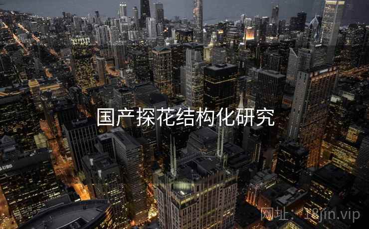 国产探花结构化研究
