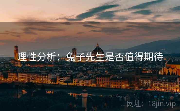 理性分析：兔子先生是否值得期待
