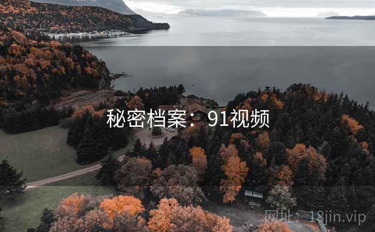 秘密档案：91视频
