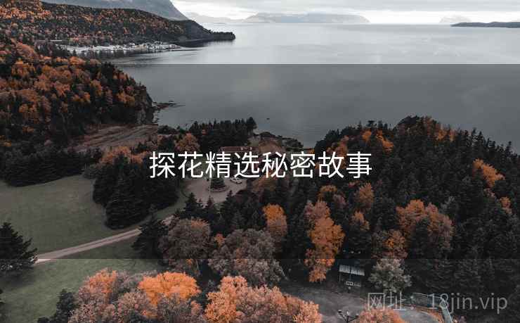 探花精选秘密故事