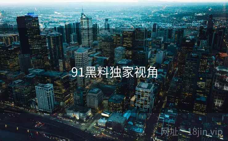 91黑料独家视角