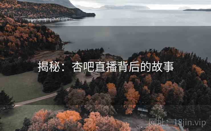 揭秘：杏吧直播背后的故事