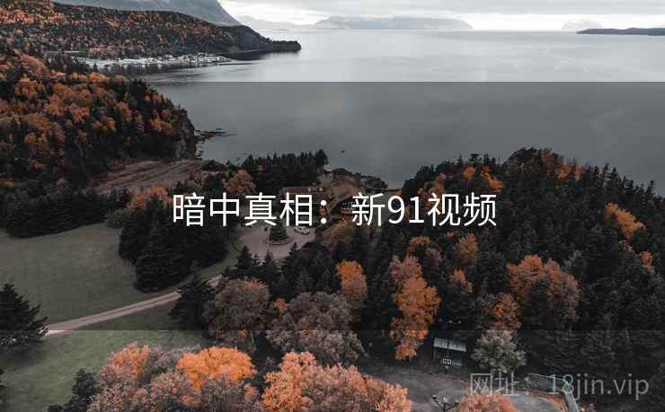 暗中真相：新91视频