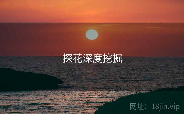 探花深度挖掘