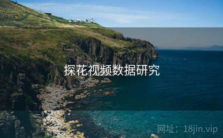 探花视频数据研究