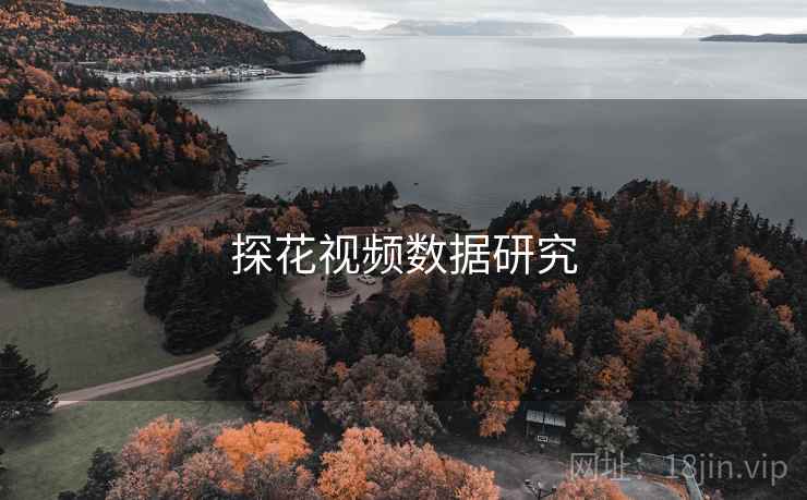 探花视频数据研究