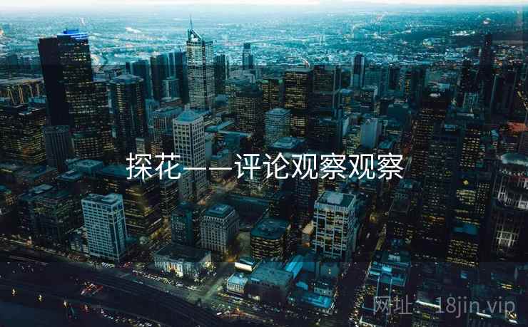 探花——评论观察观察