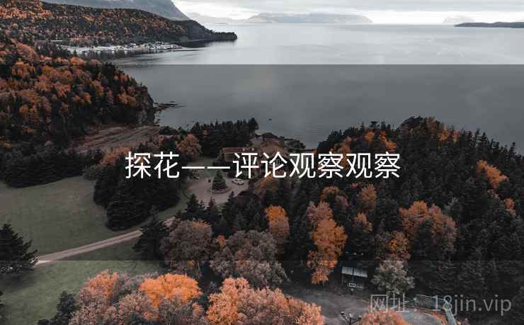 探花——评论观察观察