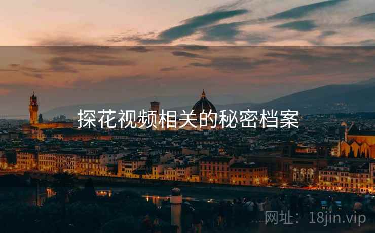 探花视频相关的秘密档案