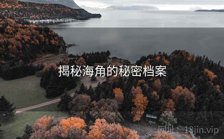 揭秘海角的秘密档案