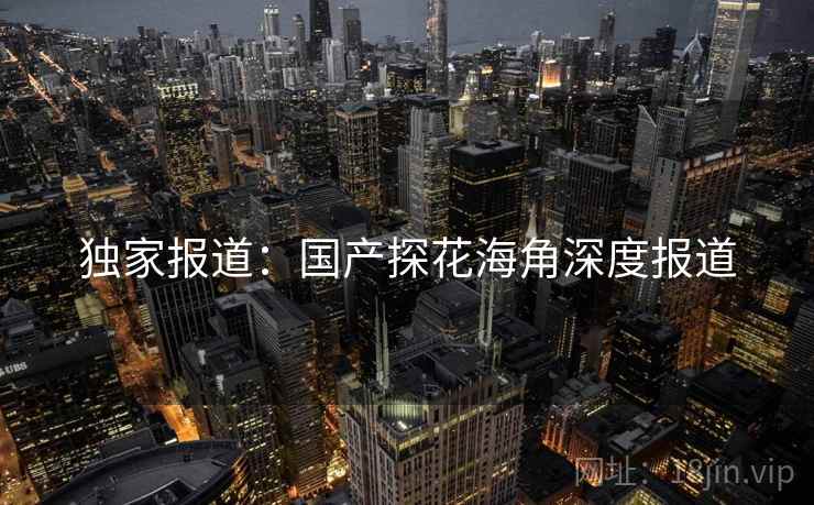 独家报道：国产探花海角深度报道