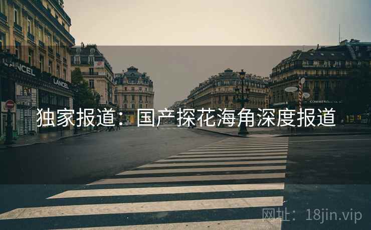 独家报道：国产探花海角深度报道