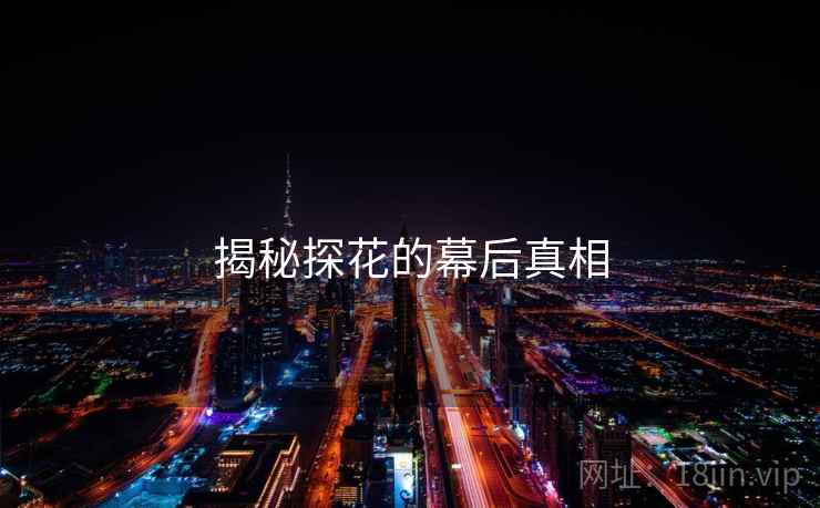 揭秘探花的幕后真相