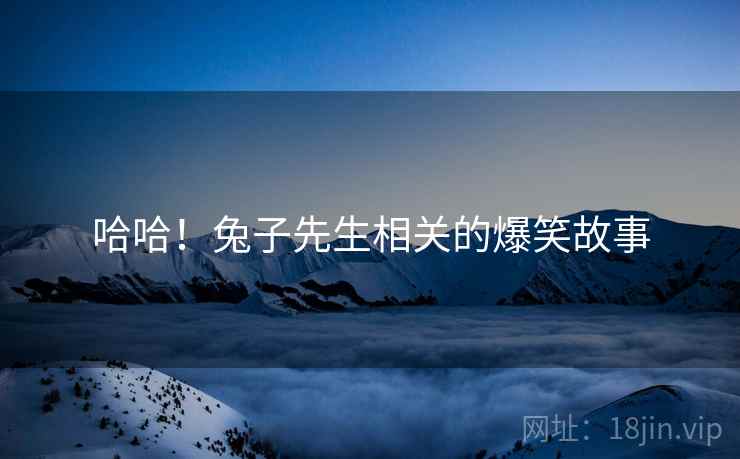 哈哈！兔子先生相关的爆笑故事
