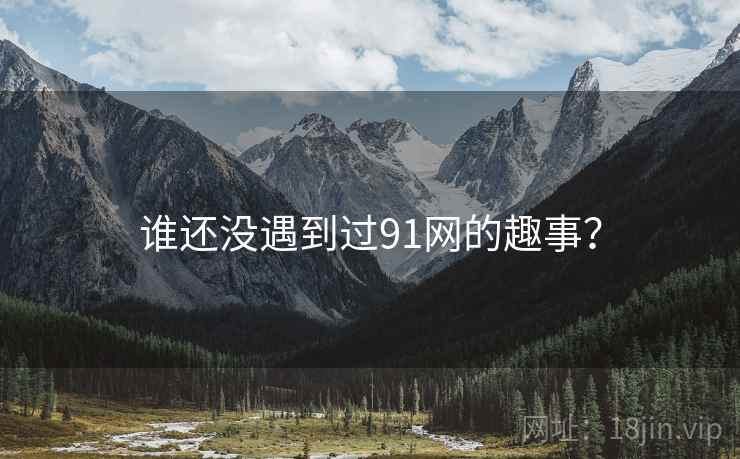 谁还没遇到过91网的趣事？