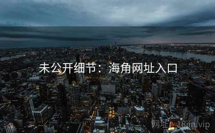 未公开细节：海角网址入口