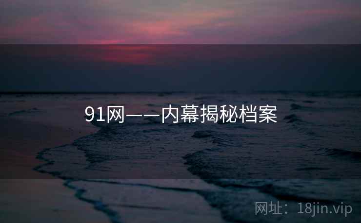 91网——内幕揭秘档案