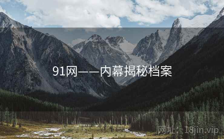 91网——内幕揭秘档案