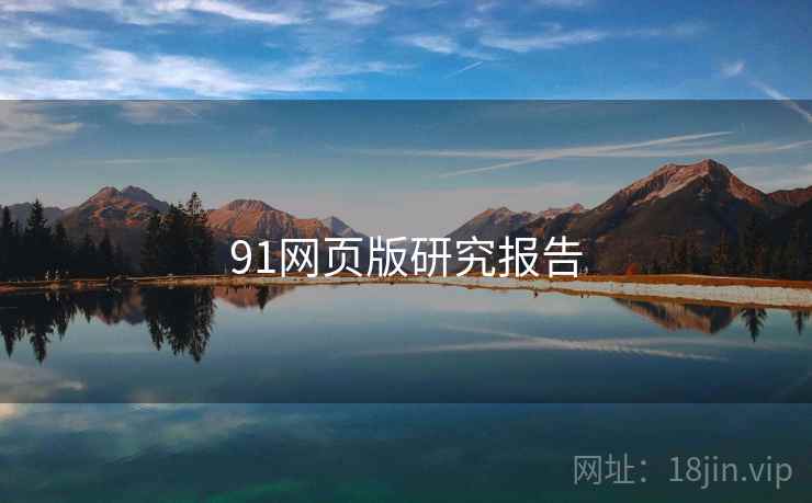 91网页版研究报告