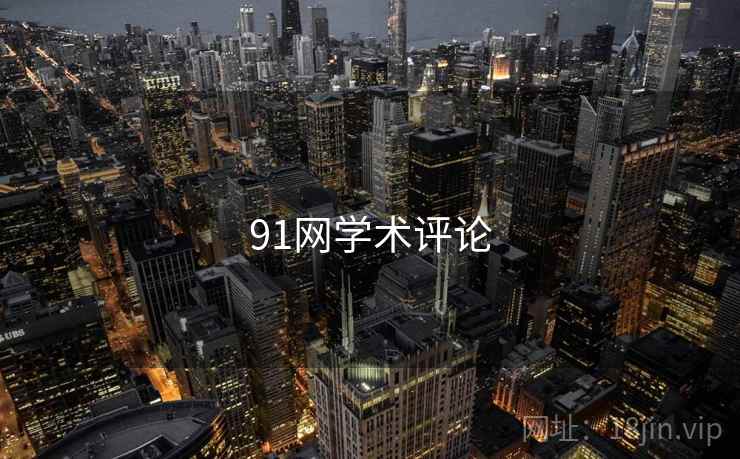 91网学术评论
