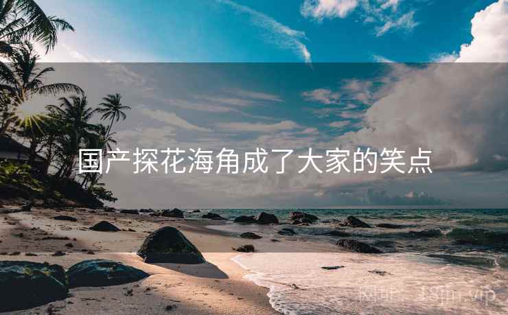 国产探花海角成了大家的笑点