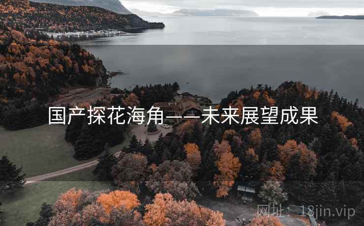 国产探花海角——未来展望成果