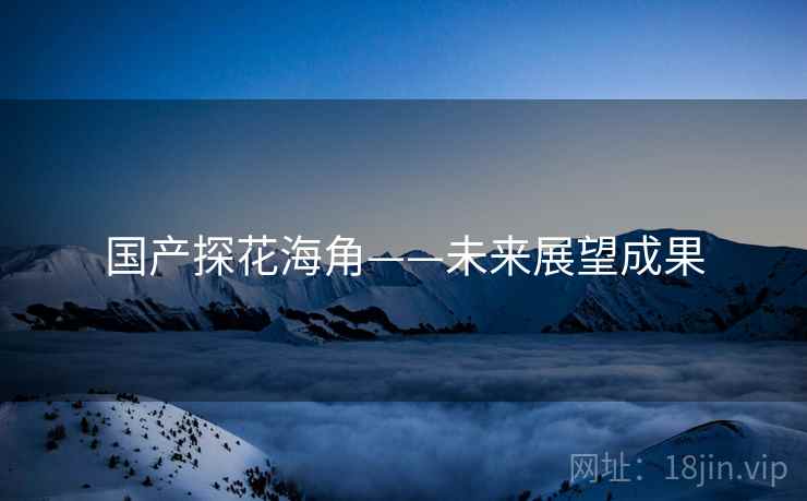国产探花海角——未来展望成果