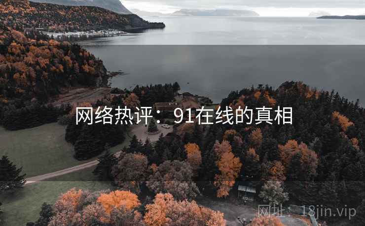 网络热评：91在线的真相